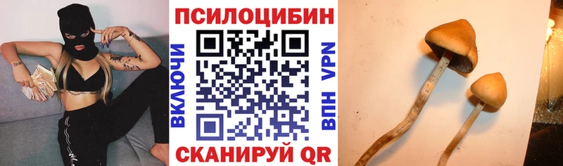 гидра ТОР  Мамоново  Галлюциногенные грибы GOLDEN TEACHER 